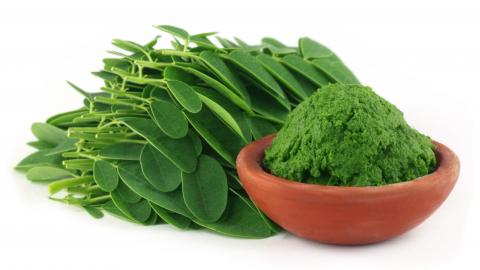 moringa